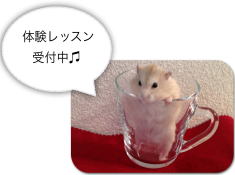 店内イメージ
